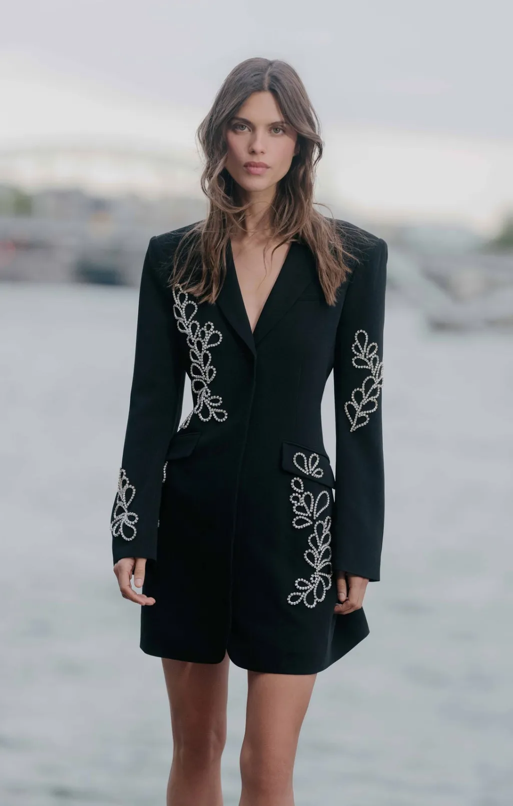 Cinq à Sept Rhinestone Paisley Long Sleeve Joel Dress Black Outlet